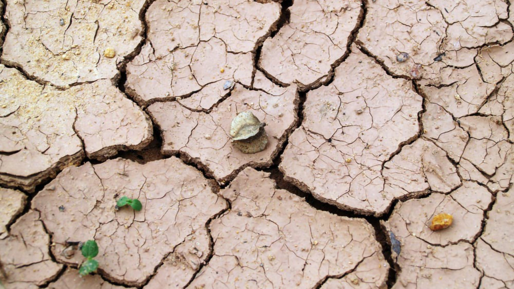 Giornata Mondiale contro la desertificazione