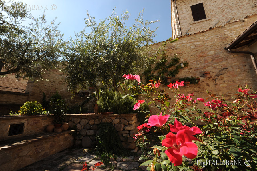 Il Giardino Fiorito in Assisi - Sede di Assisi Pax International