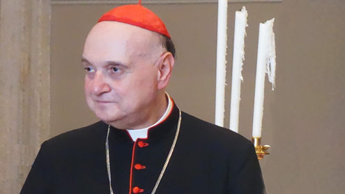 S.E. Il Cardinale Angelo Comastri