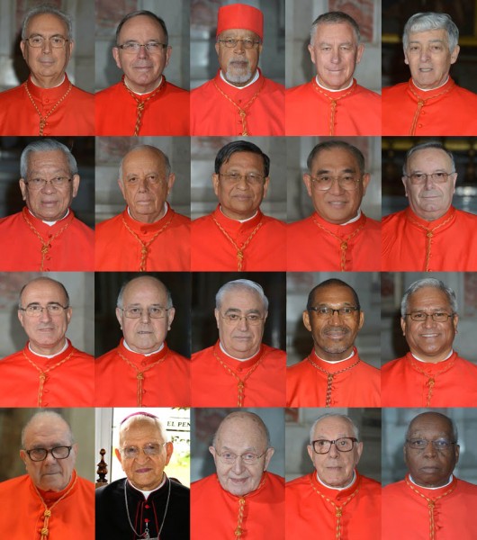 i 20 nuovi cardinali concistoro 2015